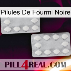Black Ant Pills 17